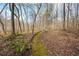 Lush mossy trail winds through the wooded backyard property at 285 Blackstock Rd, Villa Rica, GA 30180