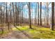 Mossy path leads into a serene backyard setting with mature trees at 285 Blackstock Rd, Villa Rica, GA 30180