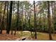 Beautiful backyard full of trees and green space. Ideal for Gathering and pets at 3087 Meadow Lark Ln, East Point, GA 30344