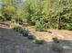 Sloping backyard with terraced landscaping offers a serene and well-maintained outdoor space at 4070 Preserve Crossing Ln, Cumming, GA 30040