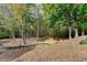 Secluded backyard space featuring mature trees, a stone walkway, and natural wooded views at 4070 Preserve Crossing Ln, Cumming, GA 30040