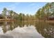 Picturesque lake surrounded by lush greenery and mature trees at 917 Edgewater Cir, Marietta, GA 30062