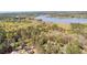 An aerial view of a home nestled among lush trees and a beautiful blue lake in the background at 8078 Longleaf Dr, Villa Rica, GA 30180