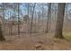 Property backing to densely wooded area at 480 Firelite Ln, Suwanee, GA 30024