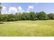 Scenic view of lush green golf course with mature trees surrounding the fairway at 49 Inverness Ct, Hiram, GA 30141