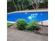 Landscaped backyard featuring an in-ground pool with ladder and flowers at 6005 Pattingham Dr, Roswell, GA 30075