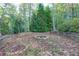 Stone fire pit area surrounded by low stone walls in a wooded backyard at 203 Glenrise Ct, Woodstock, GA 30188