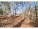 Wooded backyard with towering pines offering privacy at 3968 Belle Glade Ct, Snellville, GA 30039