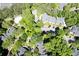 An aerial view of the community featuring mature trees, a pool, and well-maintained streets at 402 Bainbridge Dr, Atlanta, GA 30327