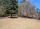 Expansive backyard with mature trees and potential for landscaping and outdoor activities at 828 Cedar Stream Ct, Loganville, GA 30052