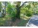 A street view with mature trees, lush greenery, and the road in the landscape at 116 Tallapoosa St, Temple, GA 30179