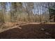 A serene backyard area with a creek, framed by natural landscaping at 1458 Sweet Bottom Cir, Marietta, GA 30064
