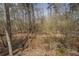 Creek running through a natural backyard with trees, shrubbery and rocks at 1458 Sweet Bottom Cir, Marietta, GA 30064