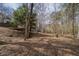A natural backyard area with a wooded backdrop and groundcover at 1458 Sweet Bottom Cir, Marietta, GA 30064