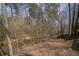 Natural backyard with a creek running through it and lots of native plants at 1458 Sweet Bottom Cir, Marietta, GA 30064