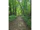 Scenic walking trail surrounded by lush greenery and mature trees offering a peaceful escape into nature at 1967 Mason Mill Rd, Decatur, GA 30033