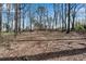 Wooded lot with mature trees and an understory of ground cover at 881 Brighton Dr, Lawrenceville, GA 30043