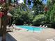 Community swimming pool surrounded by lounge chairs and lush trees at 2741 Willowstone Dr, Duluth, GA 30096