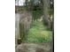 Overgrown backyard with greenery and a privacy fence at 524 Northridge Crossing Dr, Atlanta, GA 30350