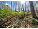 Natural backyard landscape featuring lush greenery, mature trees and small stream bed at 750 Parkway Se Dr, Smyrna, GA 30080