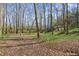 Wooded acreage with grass and leaves at 11637 Brown Bridge Rd, Covington, GA 30016