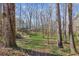 Picturesque view of the yard with mature trees and verdant green grass at 11637 Brown Bridge Rd, Covington, GA 30016