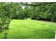 Lush green yard with a long driveway bordered by trees, offering privacy and tranquility at 1537 David Lee St, Acworth, GA 30102