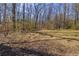 Photograph of a large wooded yard with grass and natural foliage at 1537 David Lee St, Acworth, GA 30102