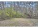 Large, overgrown backyard featuring mature trees at 3395 Lake Valley Nw Rd, Atlanta, GA 30331