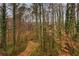 View of the wooded area and nature path behind the house at 727 Vinings Estates Se Dr, Mableton, GA 30126