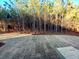 Expansive yard with new sod, lined by a natural pine forest and a built in deck at 136 Rainey Rd, Temple, GA 30179