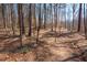 Picturesque wooded area with tall trees and natural foliage, offering a serene and secluded environment at 2000 Stethem Ferry Rd, Johns Creek, GA 30022