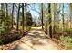 Scenic driveway winds through lush trees, offering privacy and charm to the property at 1435 Jay Ct, Snellville, GA 30078