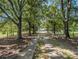 Long concrete driveway leading to a home, lined with mature trees and black fencing at 5809 Warren Farm Sw Rd, Powder Springs, GA 30127
