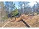 A serene view of the property's backyard with mature trees and natural landscaping at 1315 Woodland Sw Dr, Oxford, GA 30054