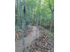 Tranquil nature path surrounded by trees and foliage, perfect for leisurely strolls at 2017 Grove Field Ln, Marietta, GA 30064