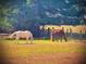 View of two horses in the fenced in field eating grass with tree for shade and barn in the background at 460 Rabbit Run, Mcdonough, GA 30252