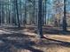 View of the land through tall pine trees, with plenty of tree coverage and beauty at 460 Rabbit Run, Mcdonough, GA 30252