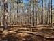 Picture of the land, which has beautiful tree coverage that includes tall pines with brown needles on the ground at 460 Rabbit Run, Mcdonough, GA 30252