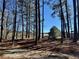 View of a picnic table and swing set, sitting on land with beautiful tree coverage including tall pines at 460 Rabbit Run, Mcdonough, GA 30252