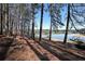 Lakeside backyard with mature trees and waterfront access at 5400 Kings Camp Rd Se B-34, Acworth, GA 30102