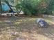 Lush backyard featuring a stone bench and walking path at 3825 Emerson St, Marietta, GA 30062