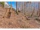 Picturesque backyard with wooden stairs leading to mature trees, enhancing the natural beauty of the property at 3699 Fowler Rdg, Douglasville, GA 30135