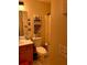 Bathroom with a neutral-colored wall, an organized vanity, toilet and a shower with a curtain at 239 Valley Xing, Canton, GA 30114