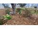 Landscaped backyard with daffodils and a stone lantern, creating a serene and inviting outdoor space at 679 Victorian Cir, Dallas, GA 30157