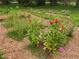 View of a flower garden featuring a variety of colorful blooms at 1430 New Hope Church Rd, Loganville, GA 30052