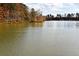 Scenic view of a pond surrounded by lush greenery and trees at 480 Brown Dove Ln, Grayson, GA 30017