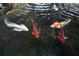 A beautiful koi pond in a suburban setting at 130 26Th Nw St # 615, Atlanta, GA 30309