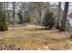 View of the backyard with a chainlink fence, trees and lots of leaves at 738 Windsor Cir, Lawrenceville, GA 30046