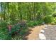 Serene backyard featuring a stone pathway, vibrant roses, and mature trees providing a peaceful setting at 2802 Nettle Ln, Buford, GA 30519